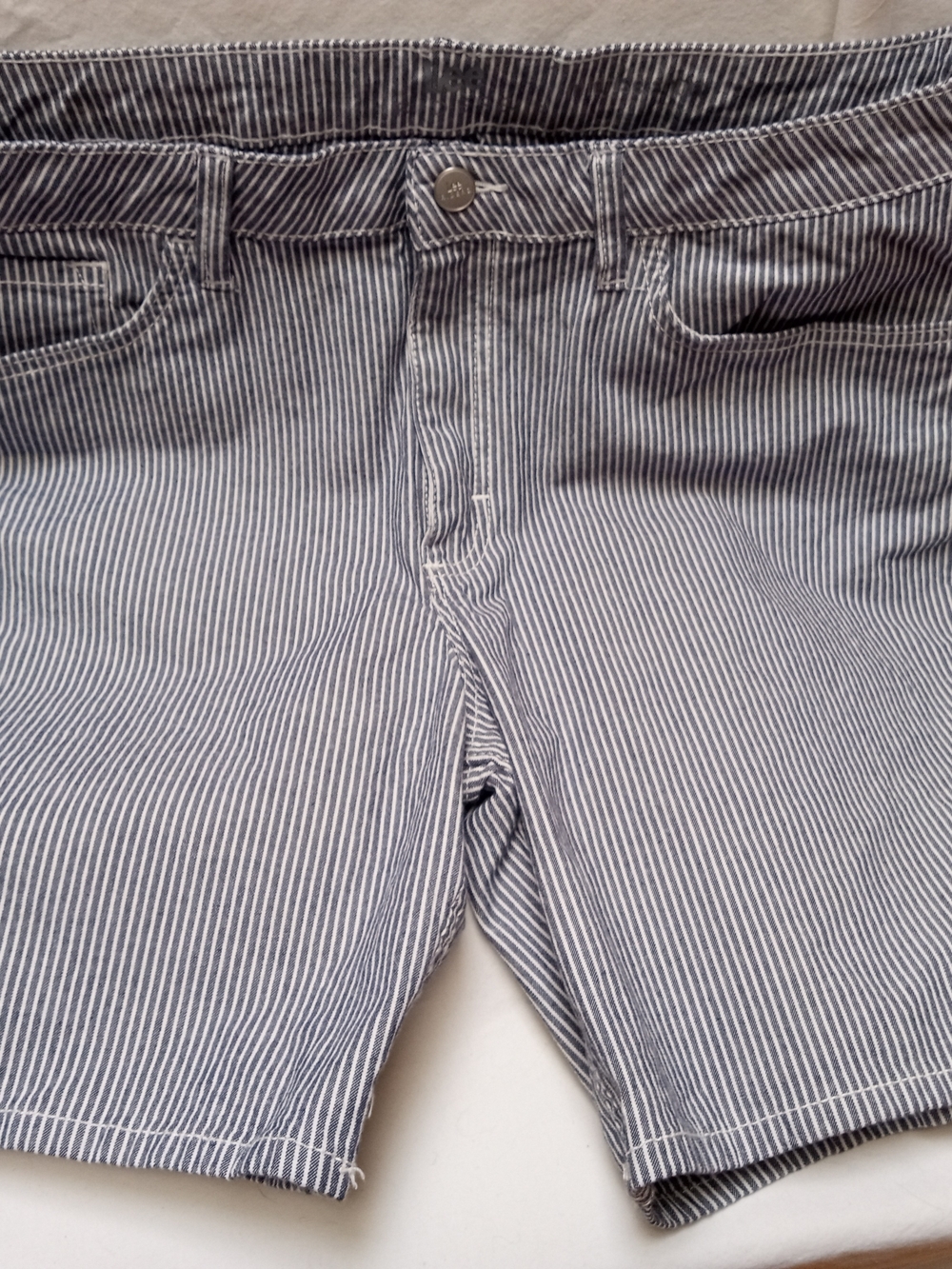 Lee Riders Striped Blue and White Casual Shorts